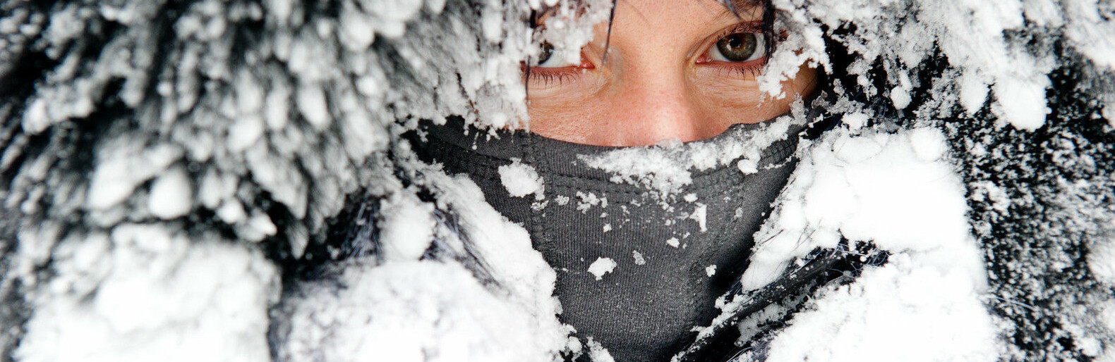 Внимание! Отмена школьных занятий!