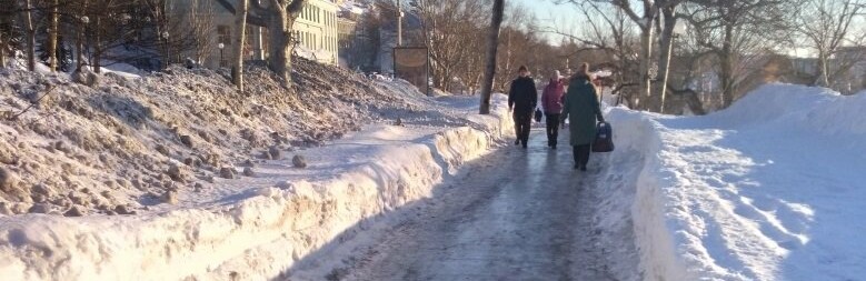 На недостатки снегоочистки указали активисты ОНФ властям Петропавло... На недостатки снегоочистки указали активисты ОНФ властям Петропавловска