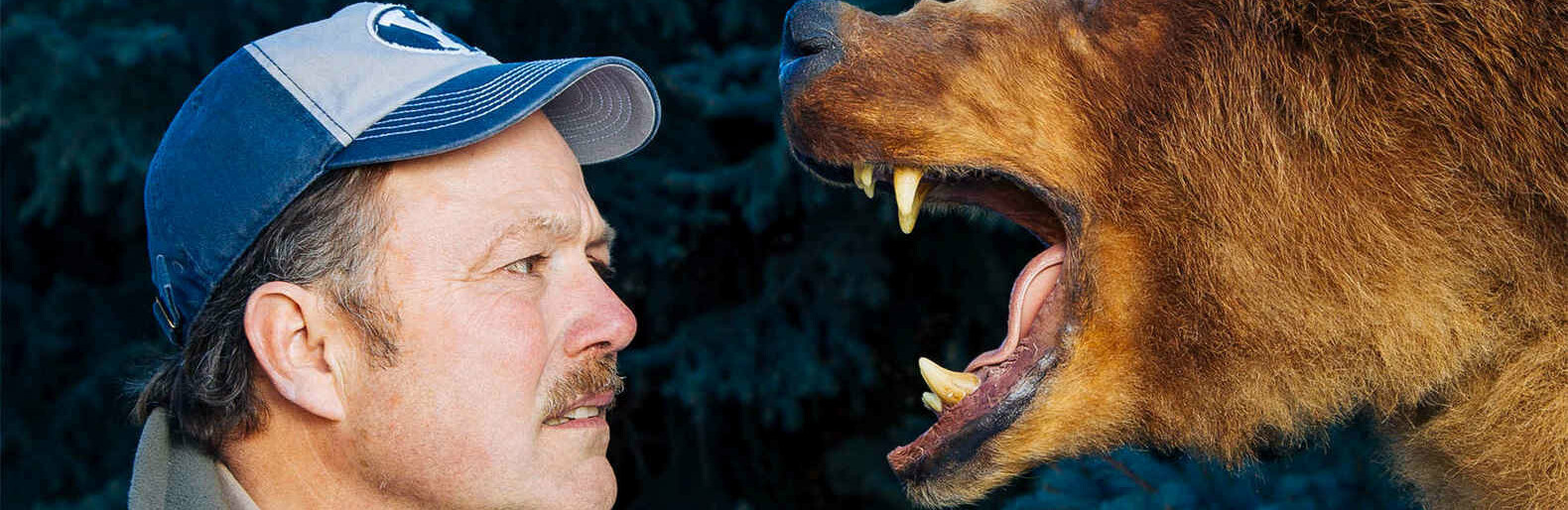 Камчатский заповедник собирает истории о встречах с дикими животными