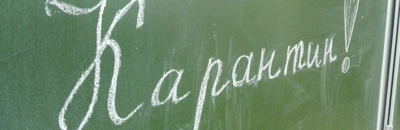 На Камчатке на карантин закрыли 5 школ