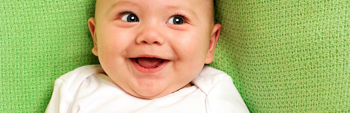 Камчатка получит деньги на строительство садов