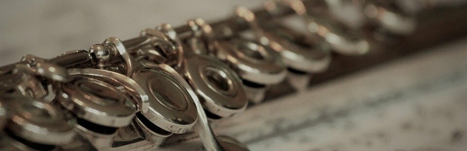 На Камчатке будут учить на школьных преподавателей музыки и детсадовских музработников