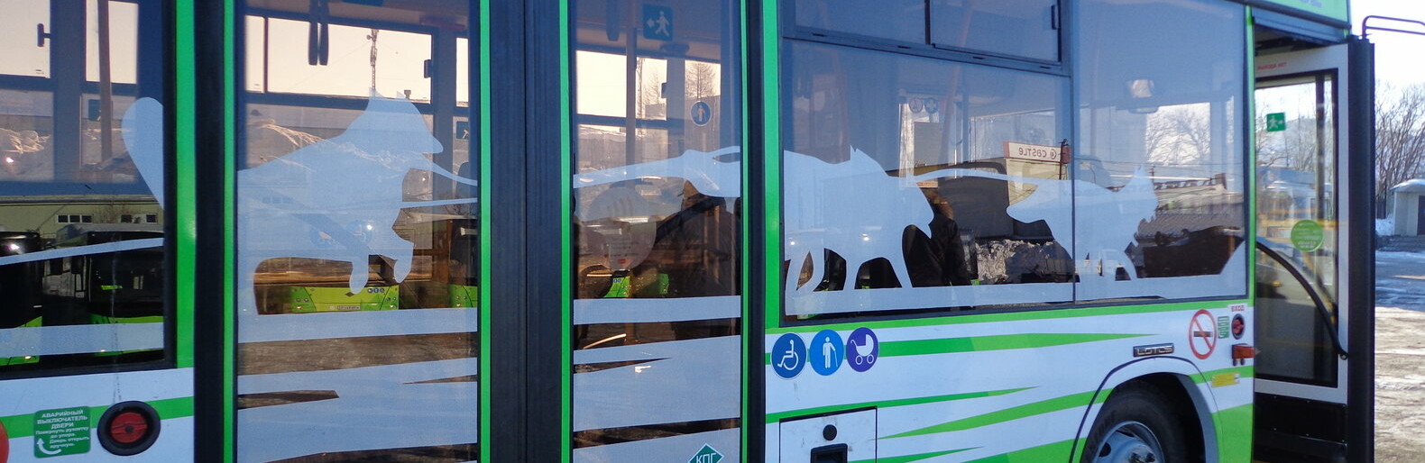 Жители Петропавловска решат, как изменить маршрутную сеть пассажирских автобусов 