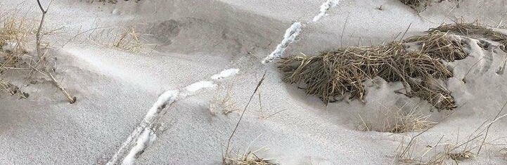 Вулкан Безымянный посыпал пеплом остров Беринга