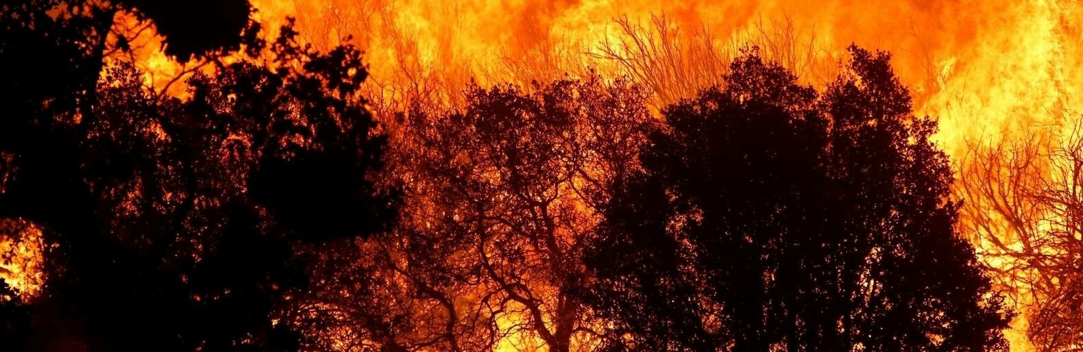 К сезону пожаров и паводков готовится Камчатка К сезону пожаров и паводков готовится Камчатка