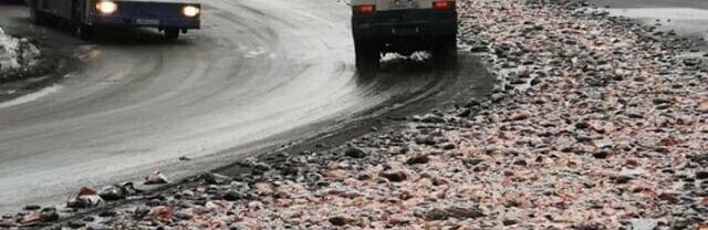 8 тонн рыбных отходов рассыпали у здания правительства Камчатки