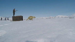 Камчатский Умка вернулся домой