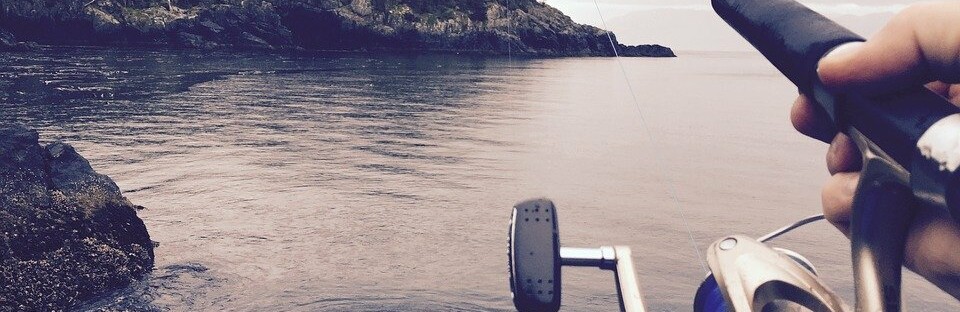 Фото: pixabay.com