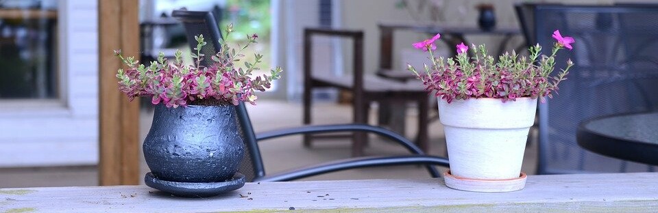 Фото: pixabay.com