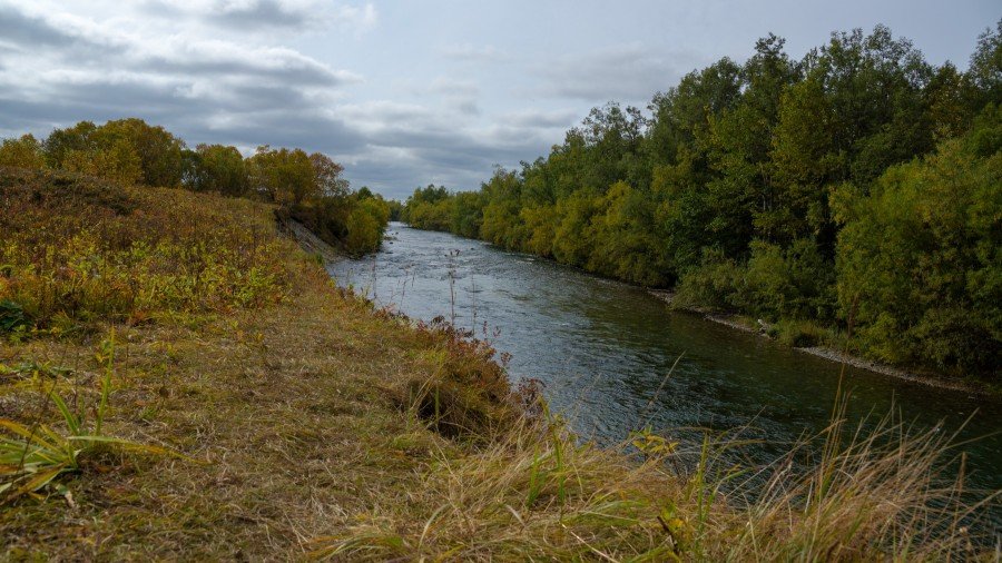 Фото: livejournal.com/kam_fisher