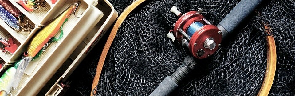 Фото: pixabay.com