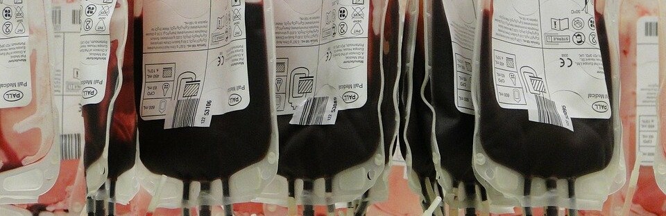 Фото: pixabay.com