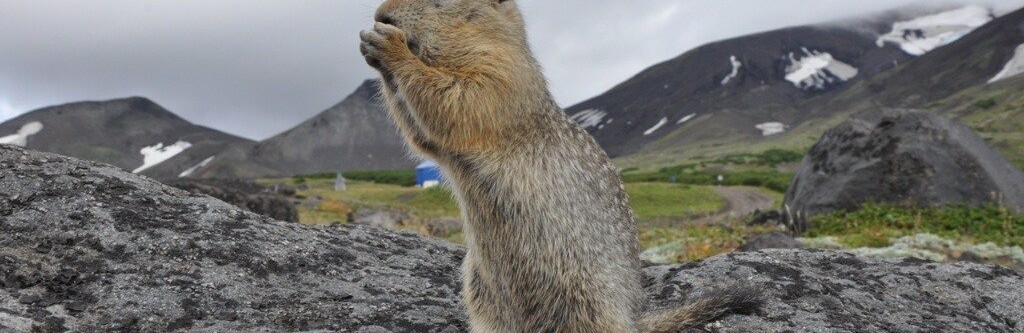 Фото: Природный парк "Вулканы Камчатки"