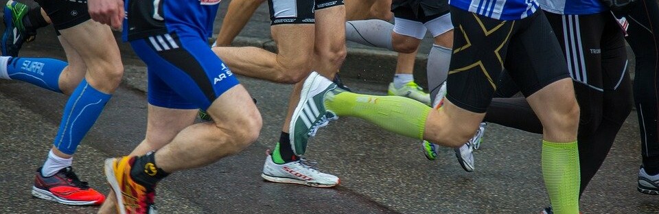 Фото: pixabay.com