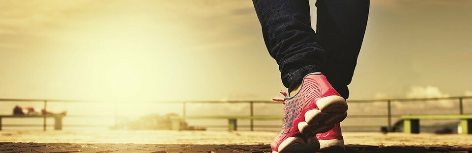 Фото: pixabay.com