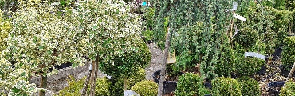 Фото: pixabay.com