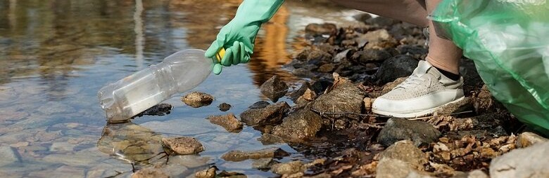 Фото: pixabay.com