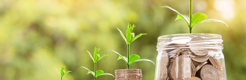 Гранты на 10 миллионов получат четыре камчатских стартапа