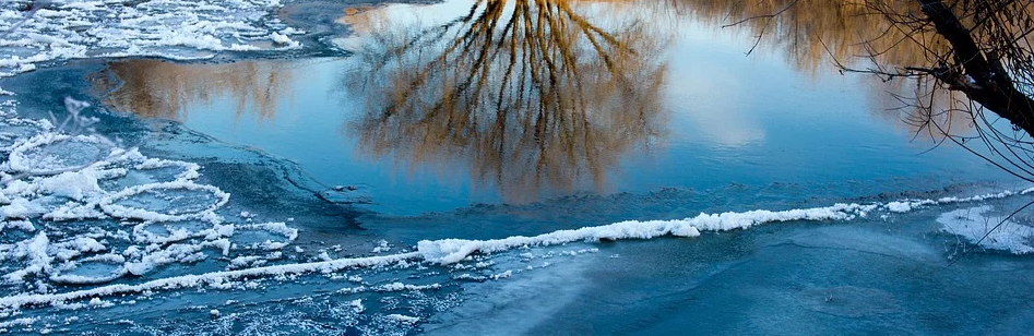 Фото: pixabay.com