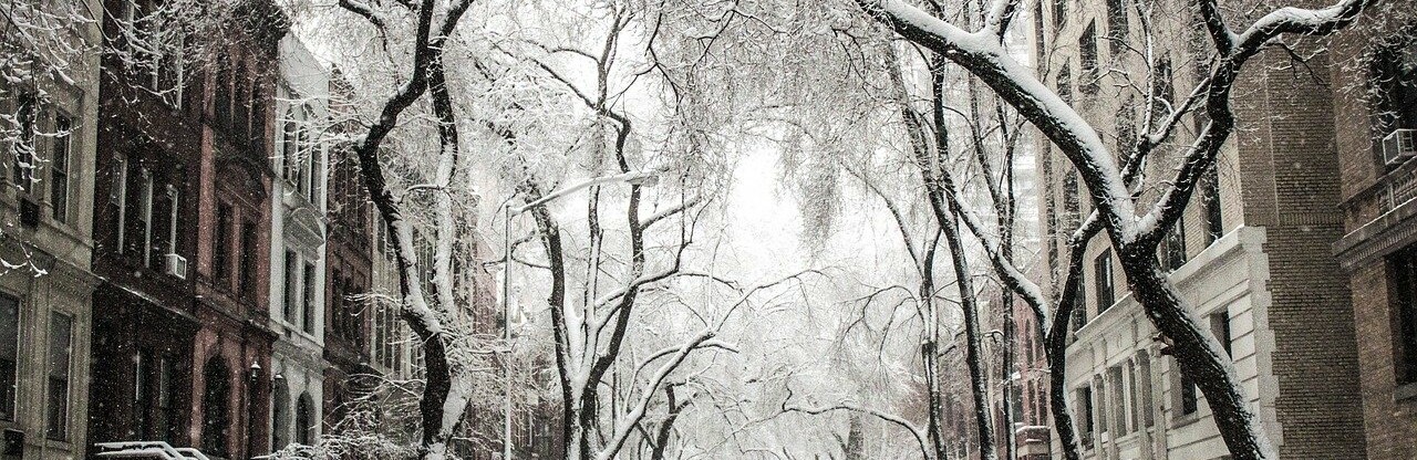 Фото: pixabay.com