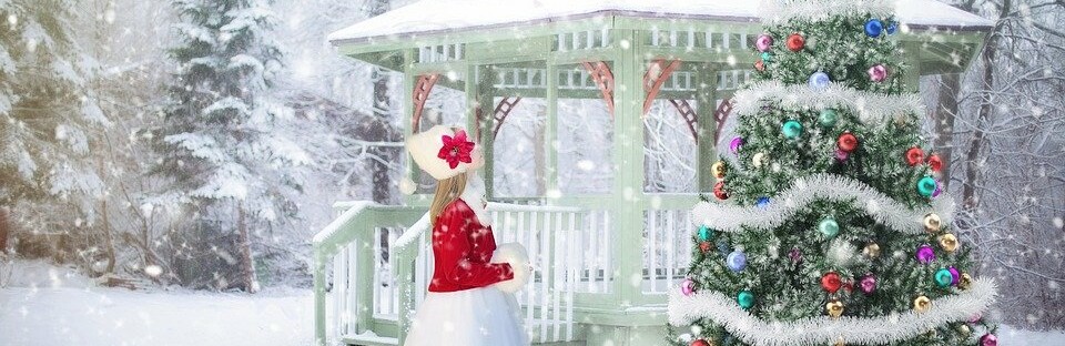 Фото: pixabay.com