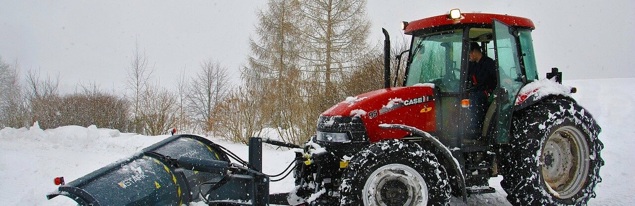 Фото: pixabay.com