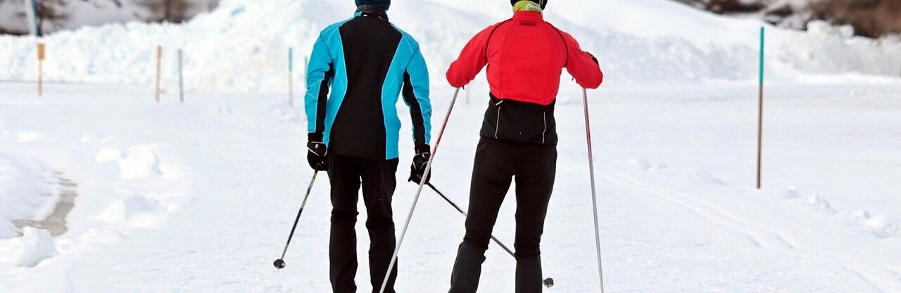 Фото: pixabay.com