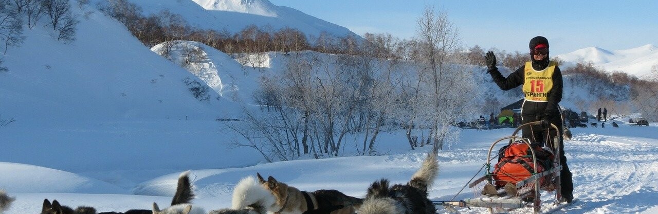 Фото: pixabay.com