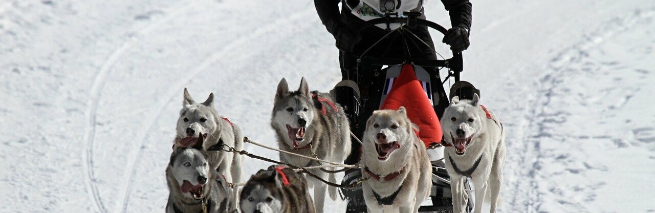 Фото: pixabay.com