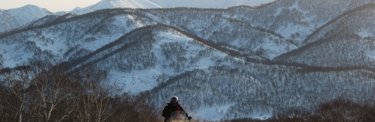 Фото: pixabay.com