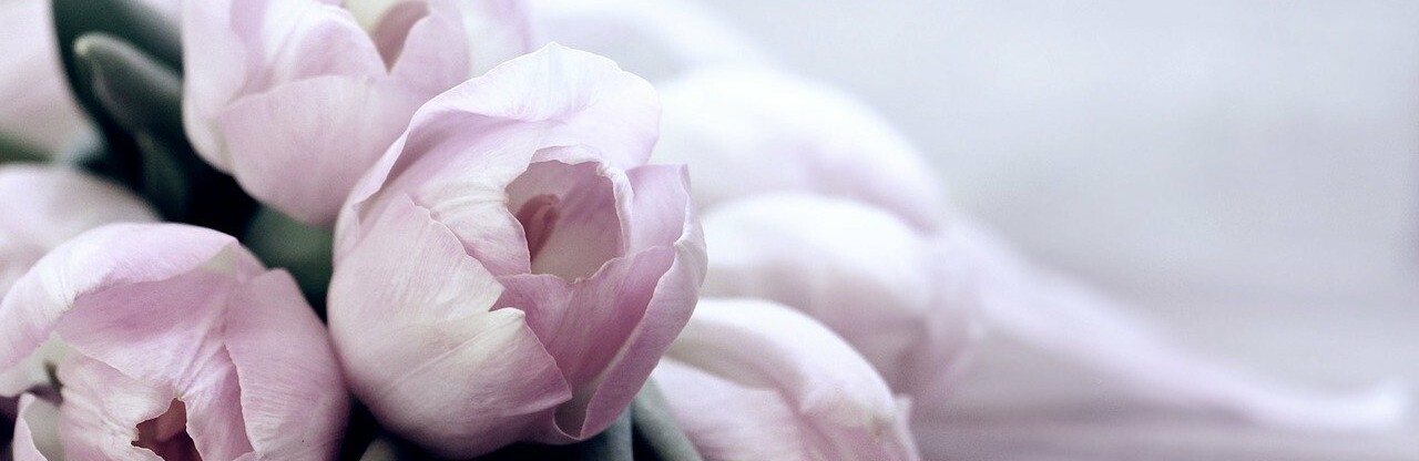 Фото: pixabay.com