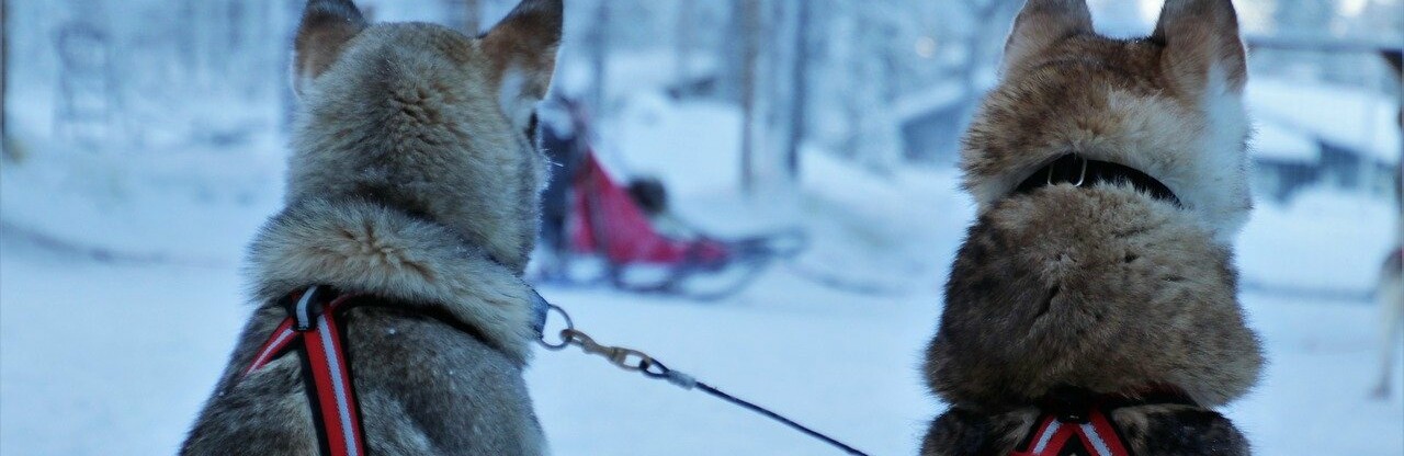 Фото: pixabay.com