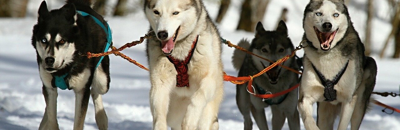 Фото: pixabay.com