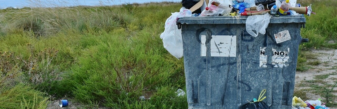 Фото: pixabay.com