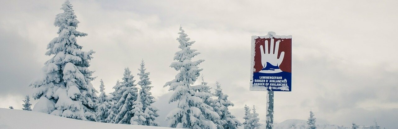 Фото: pixabay.com