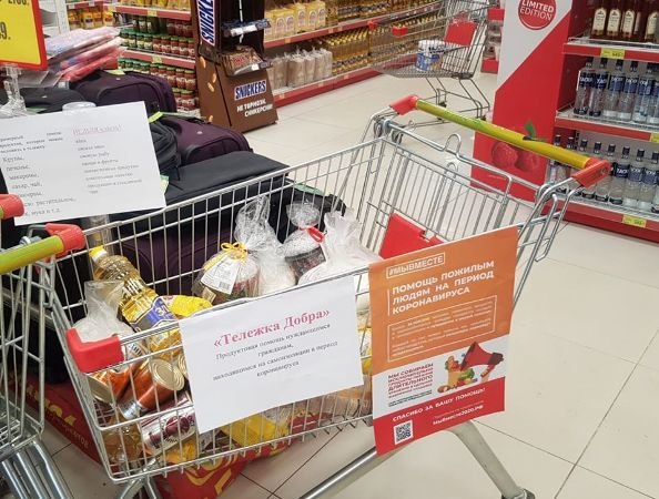 Фото: pkgo.ru Фото: pkgo.ru